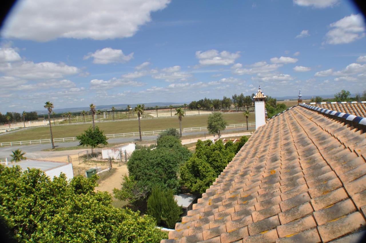 Cortijo La Amazona Villa Sevilla Exterior foto